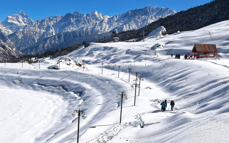 Auli